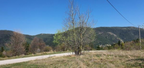 Zlatiborska brvnara Mountain House Reba